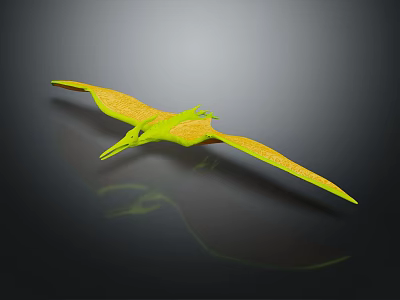 Green And Yellow Pterosaur With Large Wings 3D Rendered On Black Background With Reflection 3d model