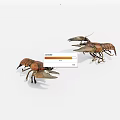 Two Brown Reptile Specimens With Large Claws And Segmented Bodies On White Surface 3d model
