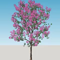 Beautiful Flowering Arbor with Red Blossoms and Green Leaves Under Blue Sky and Green Grass