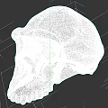 Ancient Prehistoric Fossil Skull With Cracked Surface And Restored Gray Parts