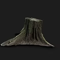Natural Wooden Tree Stump With Rough Texture On Dark Background
