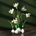 Floral Arrangement with White Flowers Green Stems White Spherical Pots on Wooden Tabletop Green Background
