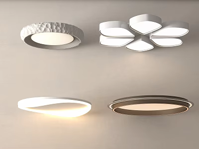 Modern Ceiling Lights With Various Stylish Designs For Home Interior 3d model