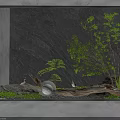 Indoor Landscape Design With Dark Rock Wall Green Plants Log And Round Light Fixtures