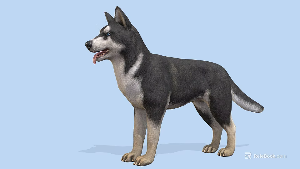 3D Animated Dog Character For Game Movie With Black White Fur Standing Pose 3d model 