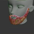 White Mannequin Head Showing Detailed Facial Features And Dark Curly Beard