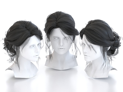 Hair Wig Hairstyle Long Hair Head 3d model