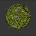 Green Plant Sphere With Grass Purple Flowers And Red Grass Blades