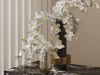White Orchids in Black and Transparent Vases on Marble Tabletop with Vertical Blinds 3d model