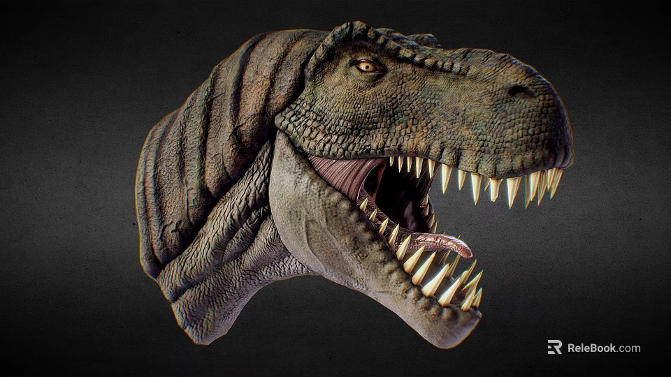 Detailed Tyrannosaurus Rex Head Model With Open Mouth Sharp Teeth And Textured Skin 3d model 