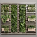 Vertical Green Wall With Various Plants On Slatted Wooden Structure 3d model