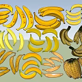 Various Types of Fresh Ripe Bananas Including Bunches and Single Pieces