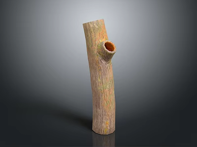 Natural Tree Trunk Plant Decor With Brown Yellow Texture And Round Hole Design 3d model