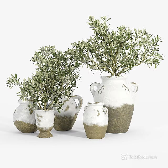 Decorative Ornament Set With Various Sizes Vases And Olive Plants In White Natural Tones 3d model 