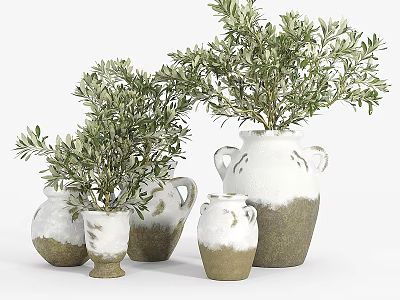 Decorative Ornament Set With Various Sizes Vases And Olive Plants In White Natural Tones 3d model