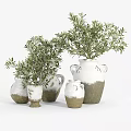 Decorative Ornament Set With Various Sizes Vases And Olive Plants In White Natural Tones
