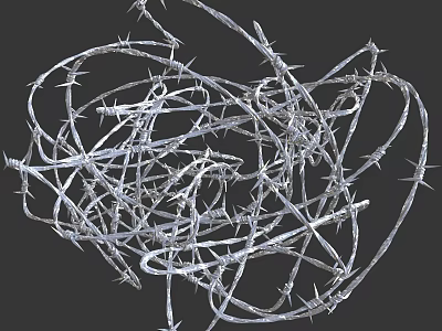 Barbed Wire Entangled Structure Featuring Sharp Metal Thorns And Twisted Strands 3d model