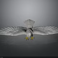 White Eagle With Spread Wings And Yellow Claws On Gray Background