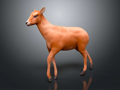 Orange Brown Antelope Standing In Grey Gradient Background With Shiny Reflective Floor 3d model