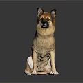Realistic German Shepherd Dog Sitting On Black Background With Surface Reflection