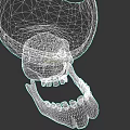 Intricate Skull Sculpture With Dark Hat And Green Accent Details