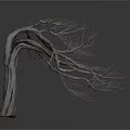 Dry Tree with Twisted Trunk and Leafless Stretched Branches on White Background with Smooth Surface