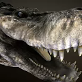 Realistic Crocodile Head Close Up Showing Open Mouth Sharp Teeth And Textured Skin