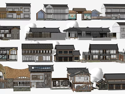Traditional House Architecture Designs With Various Roof Styles And Wooden Structures 3d model