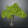 Lush Green Tree With Leafy Canopy And Brown Trunk In Isolated 3D Rendering