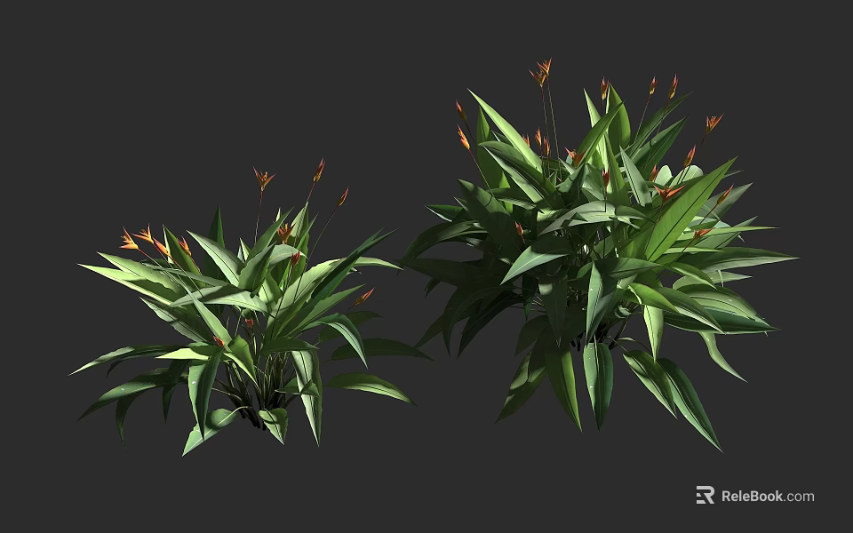 Lush Green Plants With Broad Leaves And Orange Flower Buds For Decor 3d model 