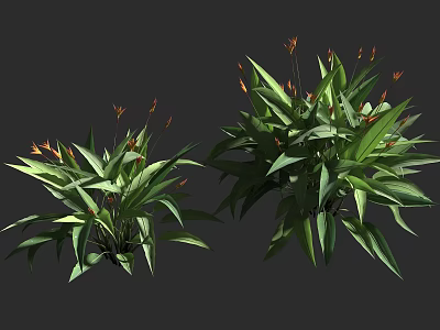 Lush Green Plants With Broad Leaves And Orange Flower Buds For Decor 3d model