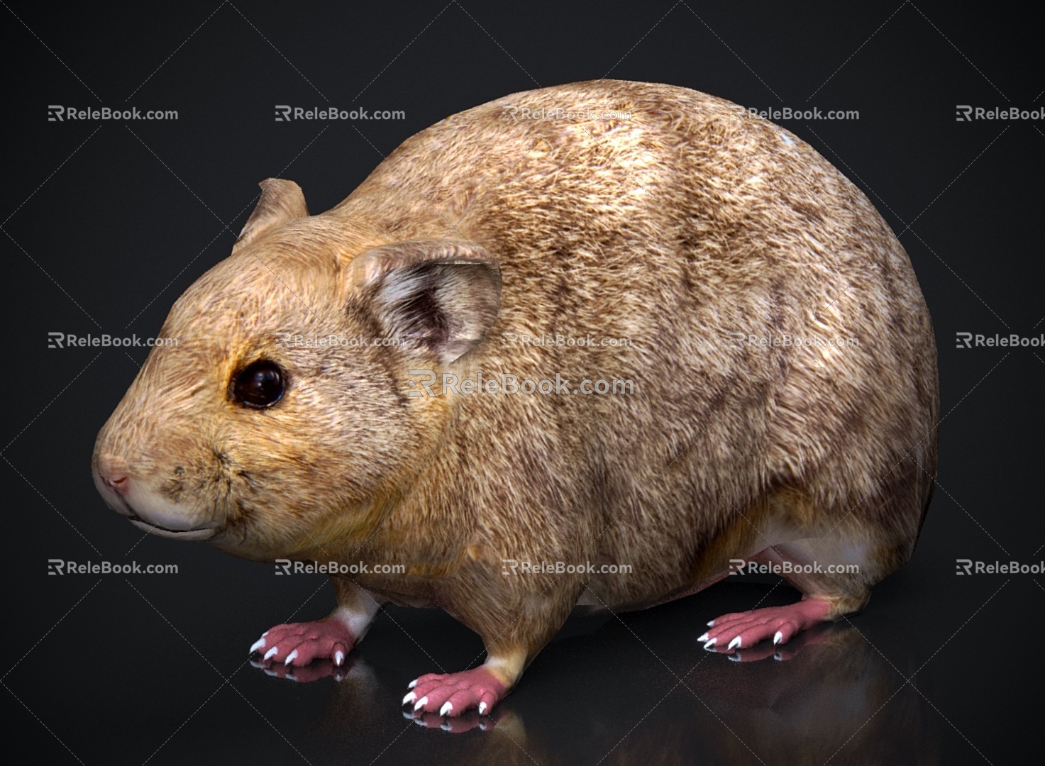 Animal beast mouse 3d model