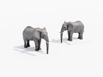 Two Grey Elephant Statues With Ivory Tusks On White Bases 3d model