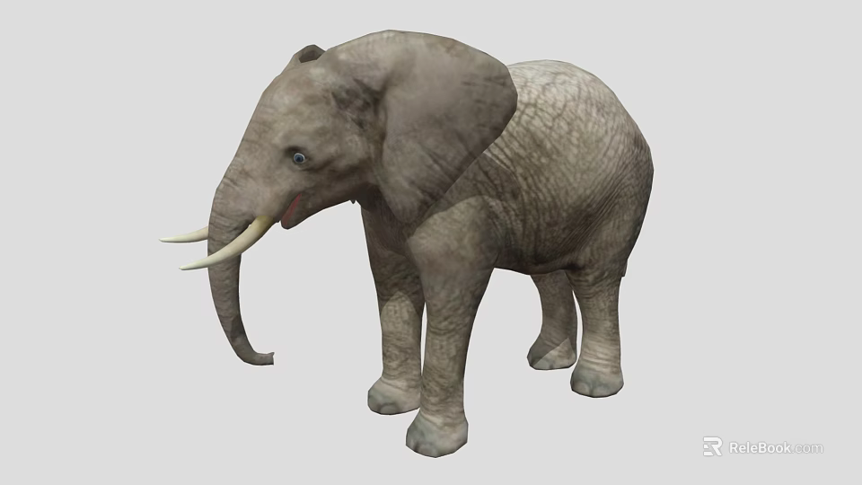Large Gray Elephant With Wrinkled Skin Long Trunk And White Tusks 3d model 