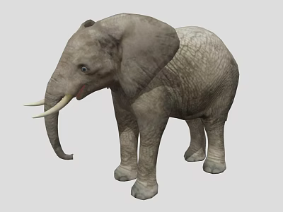 Large Gray Elephant With Wrinkled Skin Long Trunk And White Tusks 3d model