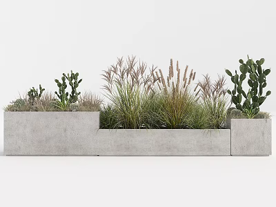 Modern Bonsai Potted Plants in Long Rectangular Concrete Planter with Succulents Grasses and Cacti 3d model