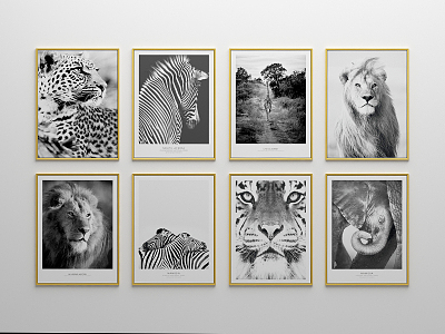 Modern Animal Painting African Wild Animals Black and White Decorative Hanging Painting model