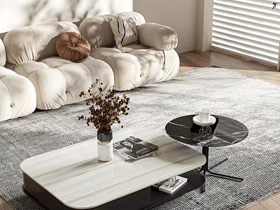 Restaurant Lounge Area With Beige Sofa Pillows Coffee Tables Dried Flowers And Books On Rug 3d model