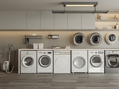 Laundry Combo model