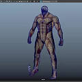 Game Film Character 3D Model With Detailed Muscle Structure Anatomical Design Front Back View