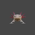 Unique Axolotl With Pink Feathery Gills And White Smooth Body Appearance