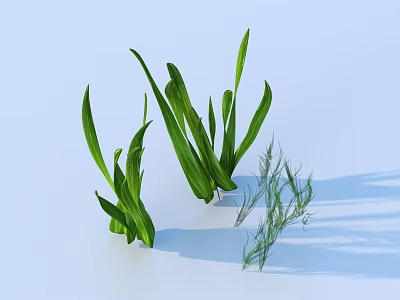 Fresh Green Herb Leaves With Different Shapes On Light Blue Background And Soft Shadows 3d model
