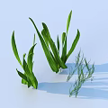 Fresh Green Herb Leaves With Different Shapes On Light Blue Background And Soft Shadows