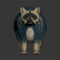 Raccoon with Striped Tail and Blue Tan Fur Standing on White Background