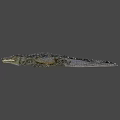Detailed Realistic Crocodile 3D Model With Open Mouth And Textured Skin