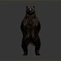 Standing Brown Bear in Upright Posture Isolated on Gray Background with Realistic Details