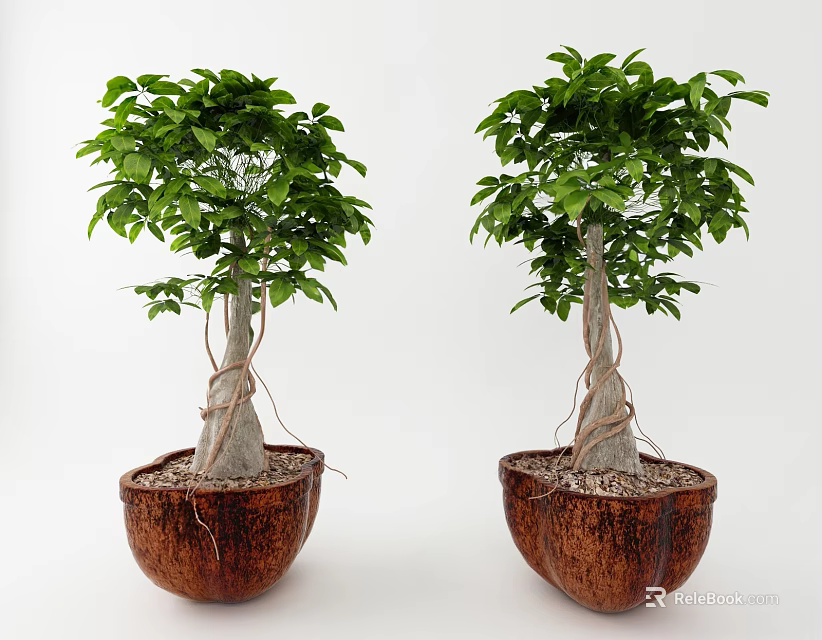 Two Bonsai Potted Plants With Lush Green Leaves And Brown Coconut Shell Planters 3d model 