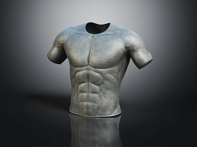 Gray Tactical Body Armor With Muscular Design Sleeveless And Reflective Surface 3d model