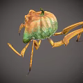 Spooky Halloween Pumpkin Monster With Yellow Eyes Sharp Teeth And Long Legs