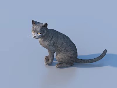 Gray Scaled Reptile Lizard Sitting Calmly On Light Blue Surface 3d model